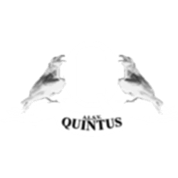 Logo ALSV Quintes
