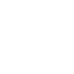 Logo Club BASIS